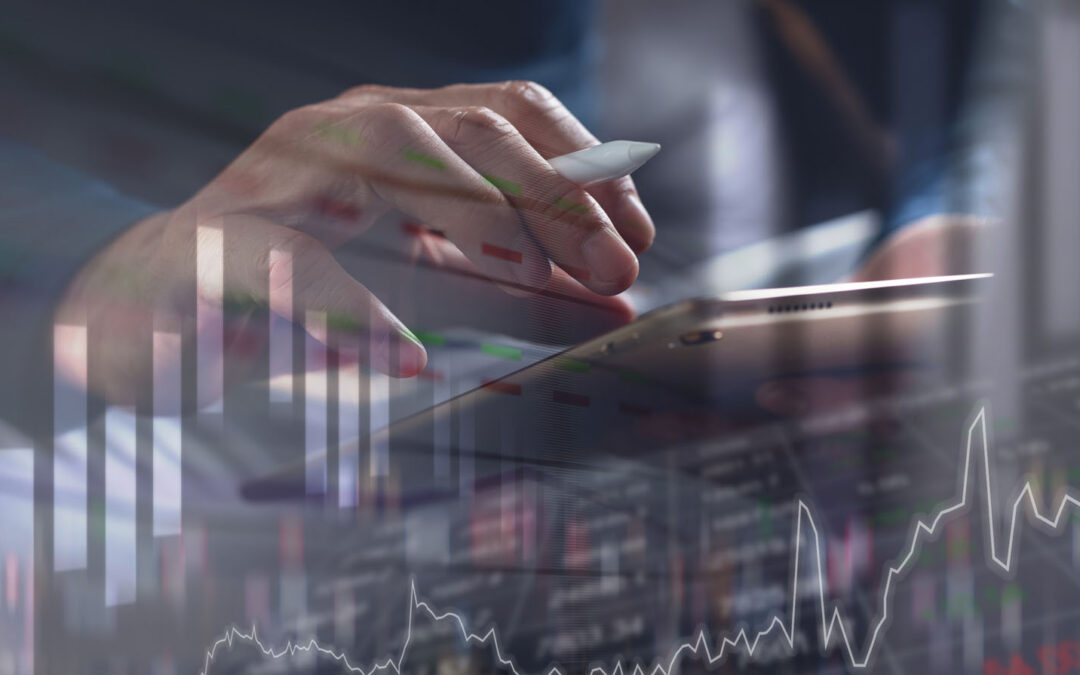 Wellvest Capital’s Health and Wellness Public Company Index – January 2025